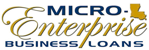 micro-enterprise